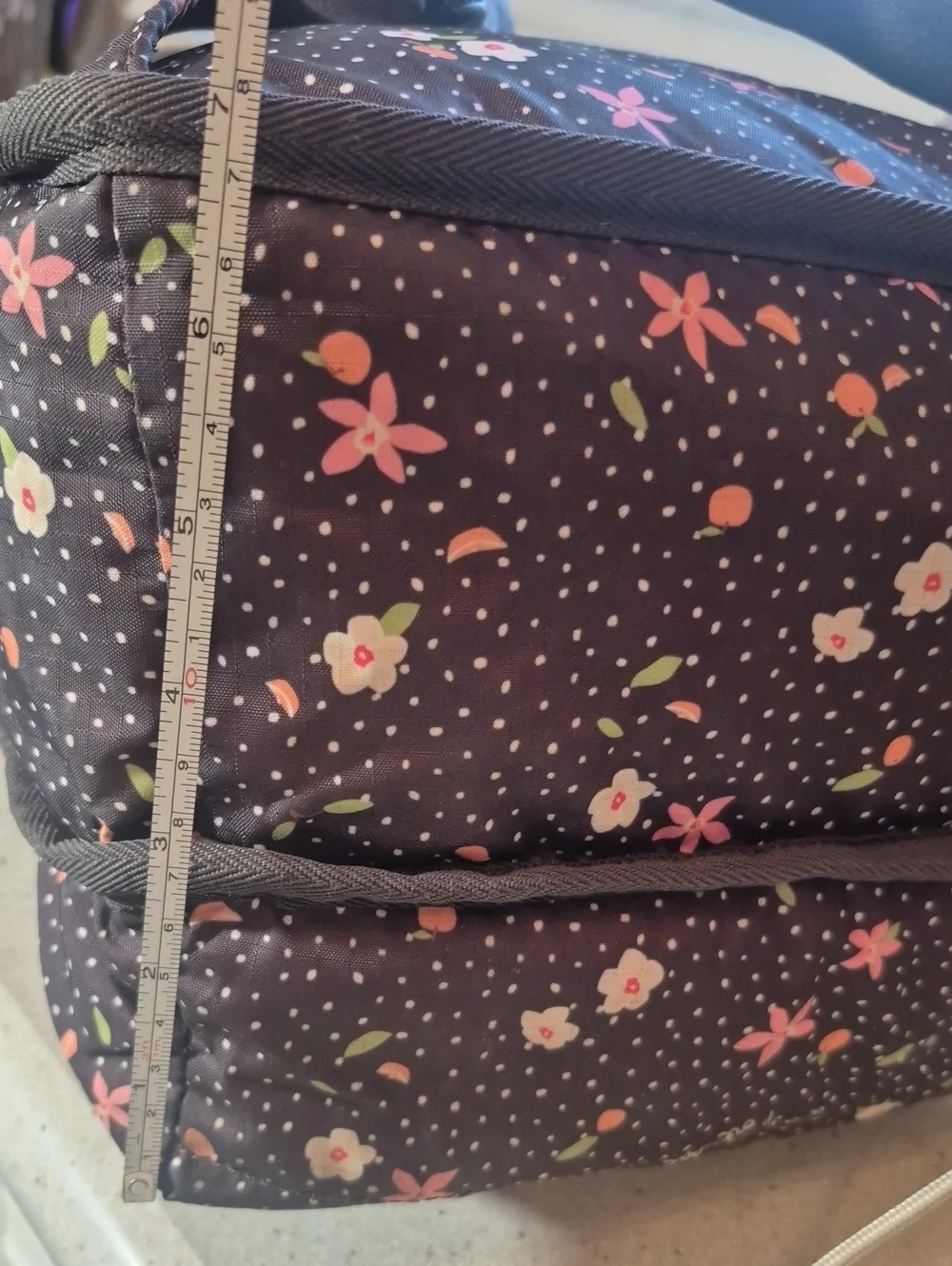 LeSportsac Polkadot Citrus Floral Backpack Nylon Ripstop Fruit Print School Bag